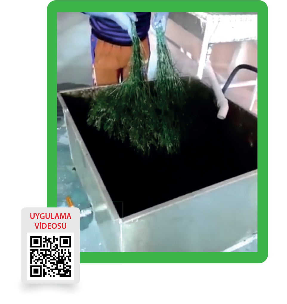ECOLOR Doğal Bitki Renklendirici