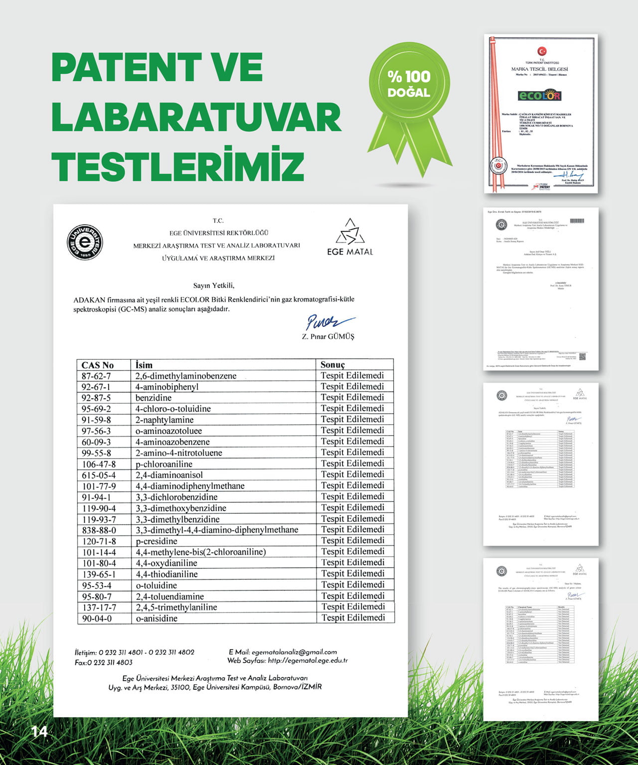 ECOLOR Doğal Çim Renklendirici