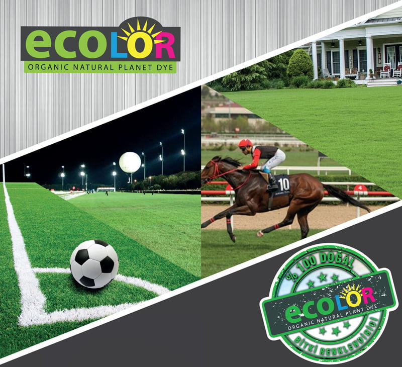 ECOLOR Doğal Çim Renklendirici